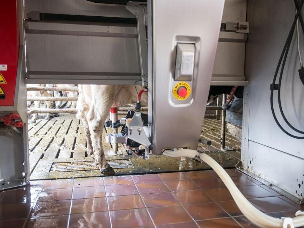Ferienwohnung Sonnenaufgangsgenuss Harriersand Schwanewede Exterior foto